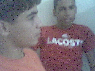les amis