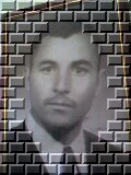 walid