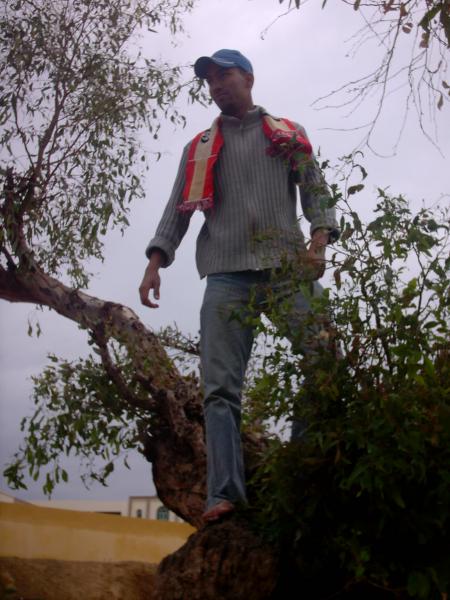 mawci
