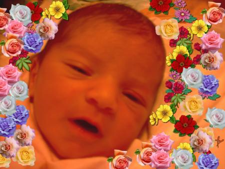 mohmed lami