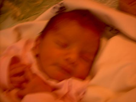 mohamed amine