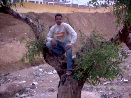 boushta (singe)